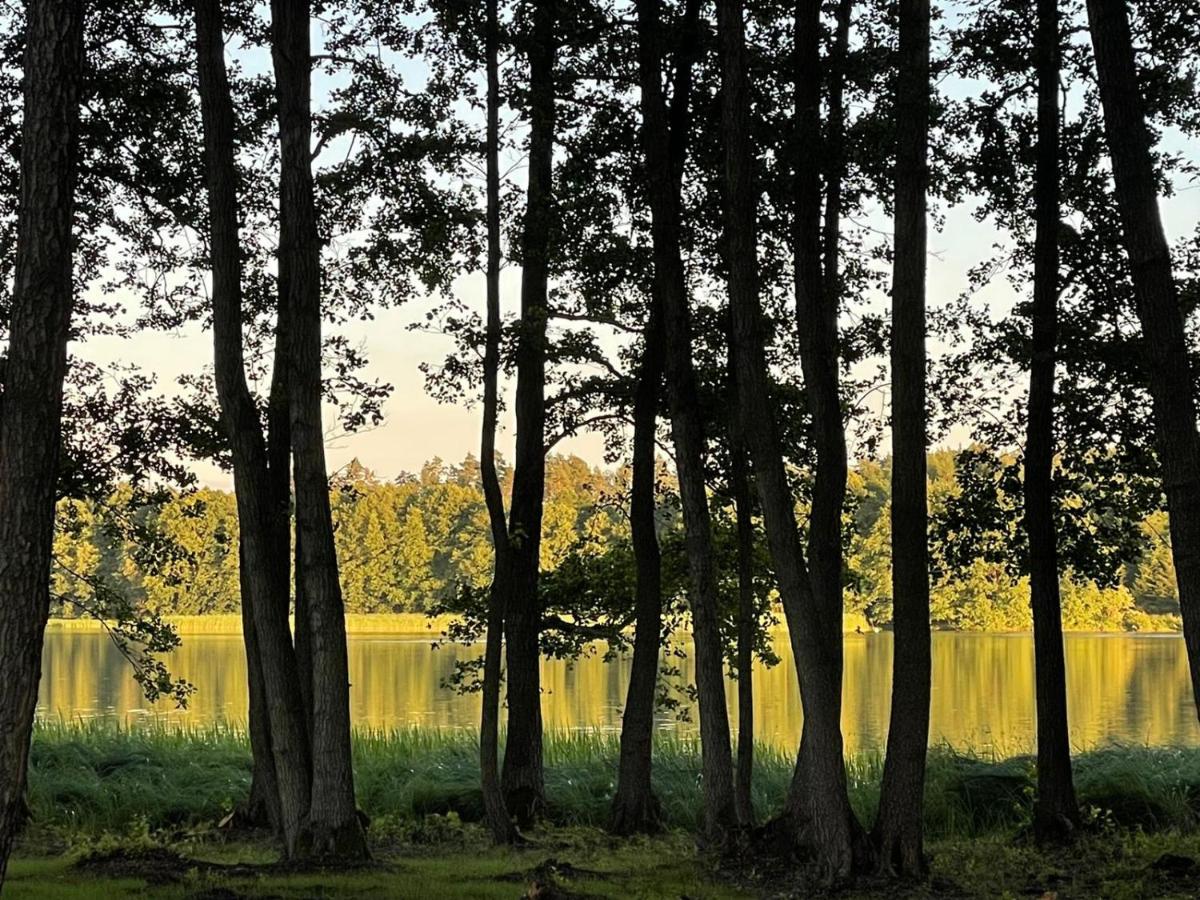 Borowy Glamp Wiecej Niz Luxuszelt Mecikal