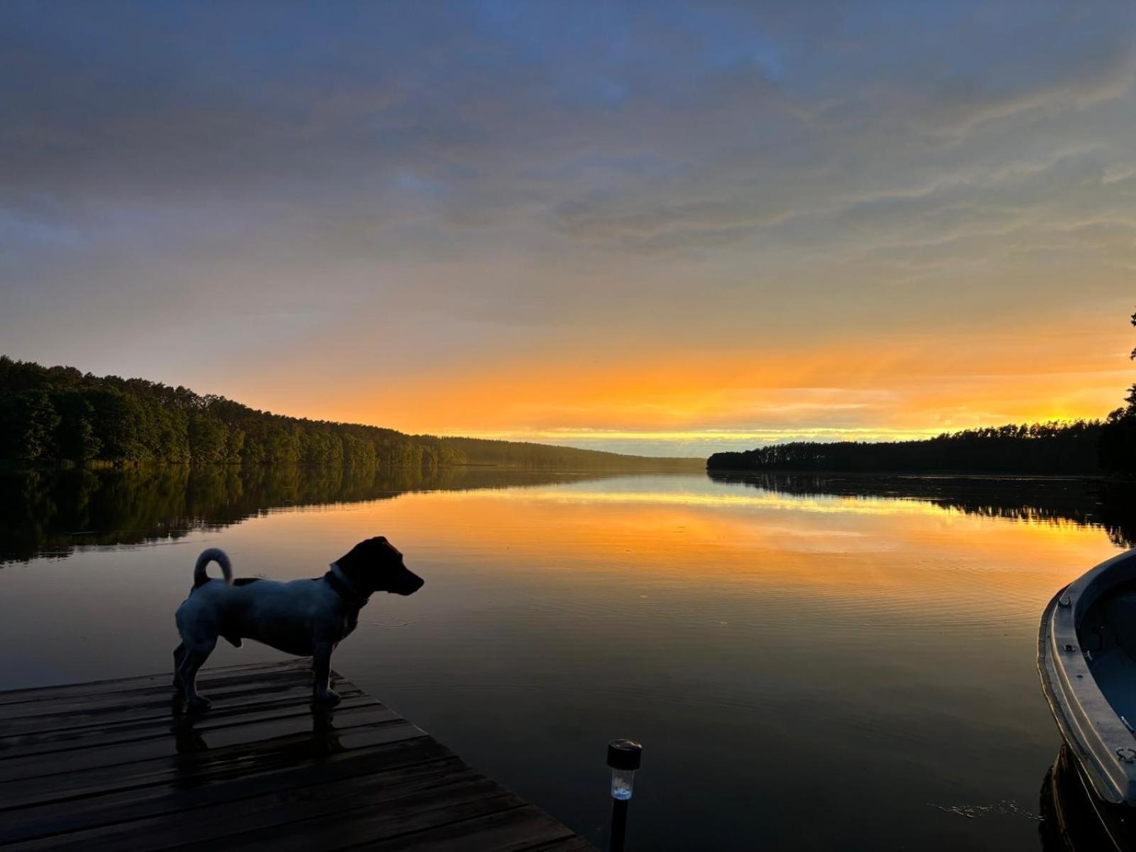 Luxuszelt Borowy Glamp Wiecej Niz